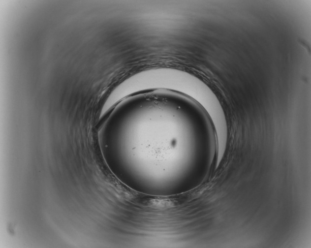 X0000102280520200808011453