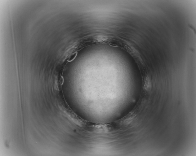 X0000102280524200808011453