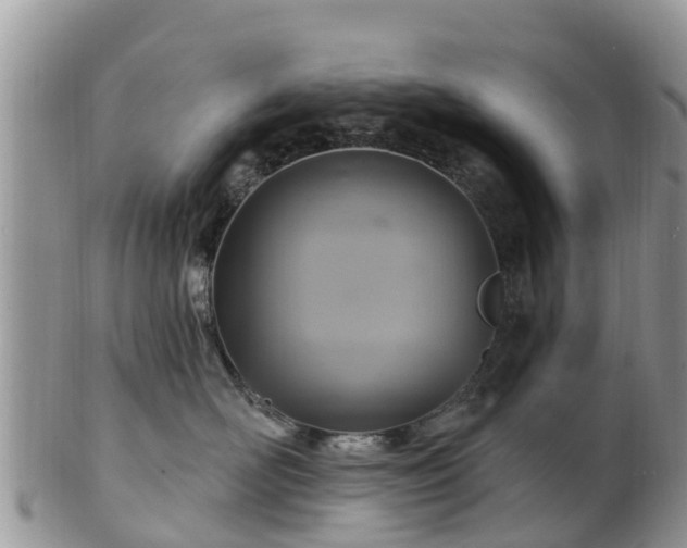 X0000102280526200808011453