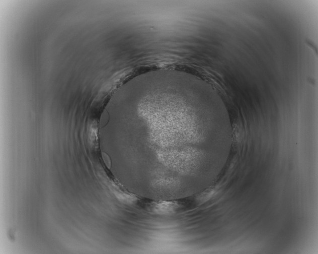 X0000102280527200808011453