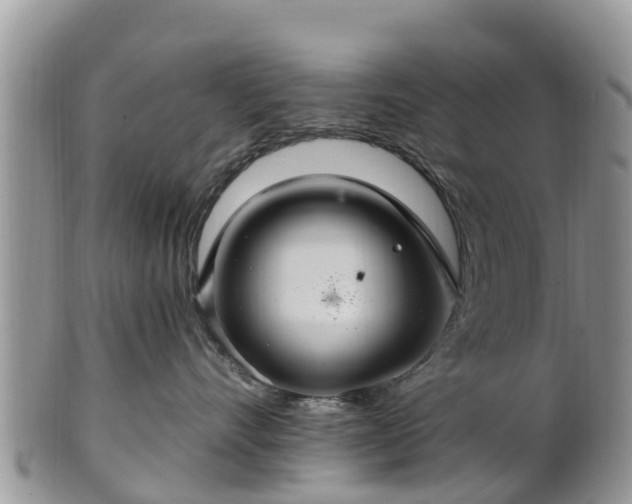 X0000102280528200808011453