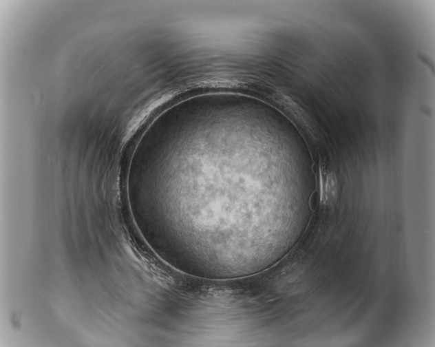 X0000102280531200808011452