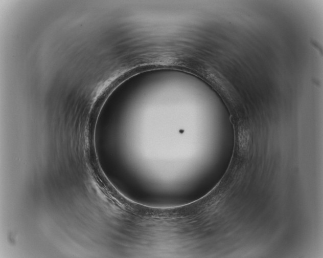 X0000102280532200808011452