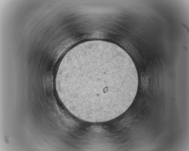 X0000102280534200808011452