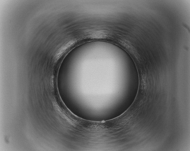 X0000102280535200808011452