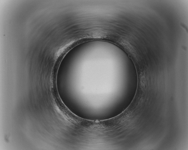 X0000102280536200808011452