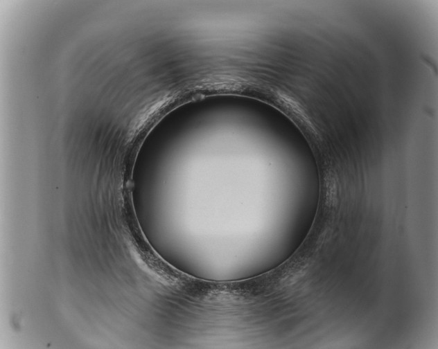 X0000102280538200808011452