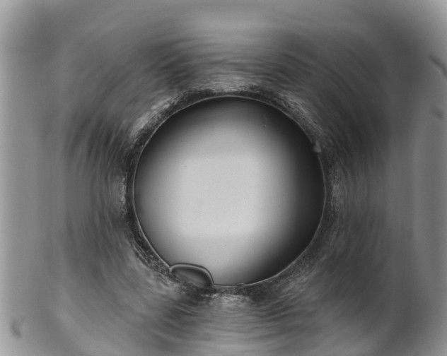 X0000102280539200808011452