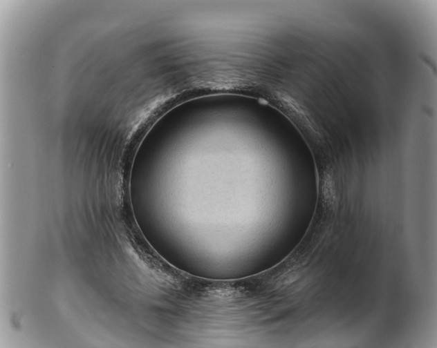 X0000102280540200808011452