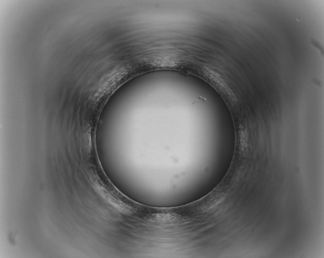 X0000102280541200808011452