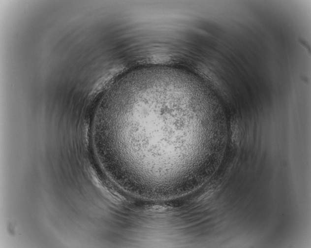 X0000102280542200808011452