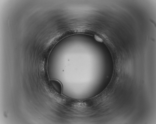 X0000102280543200808011452