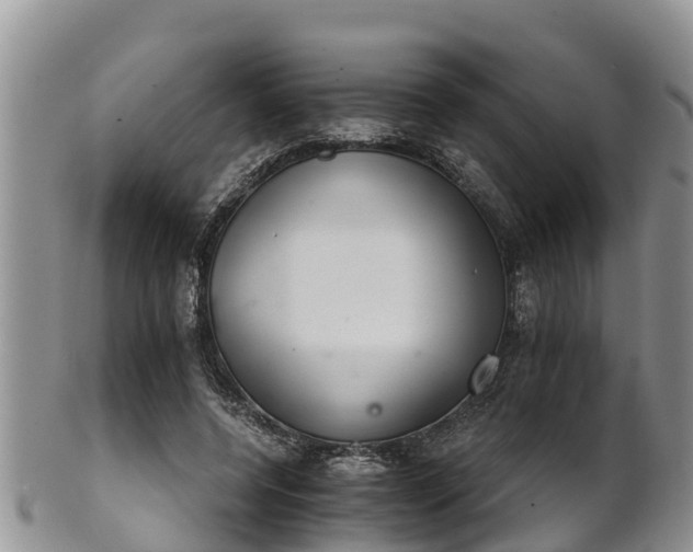 X0000102280544200808011452