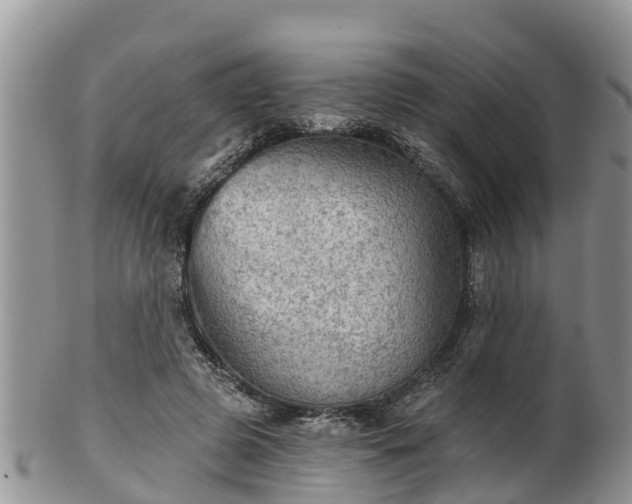 X0000102280545200808011452