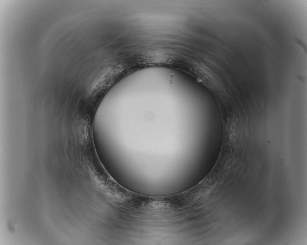 X0000102280546200808011452