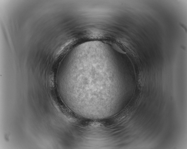 X0000102280547200808011452