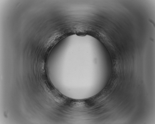 X0000102280548200808011453