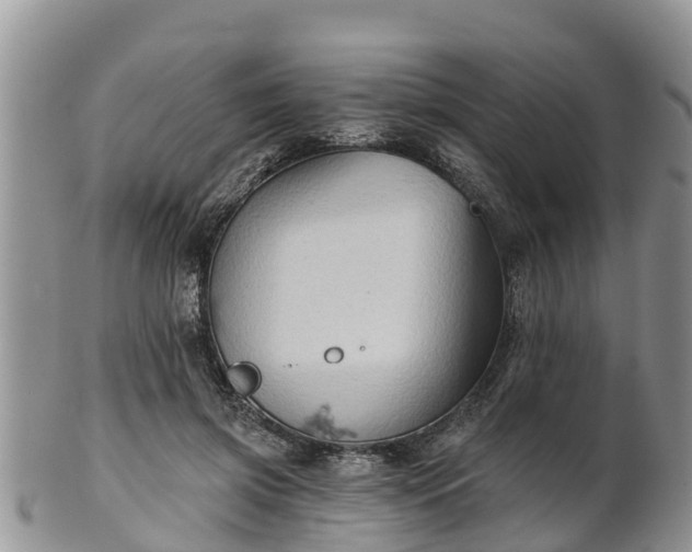 X0000102280549200808011453