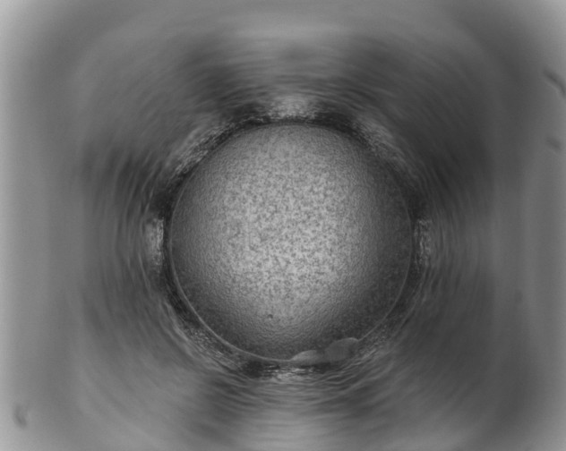 X0000102280550200808011453