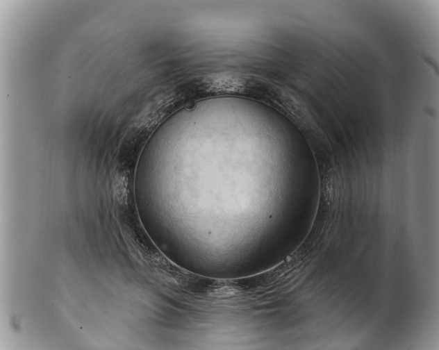 X0000102280551200808011453