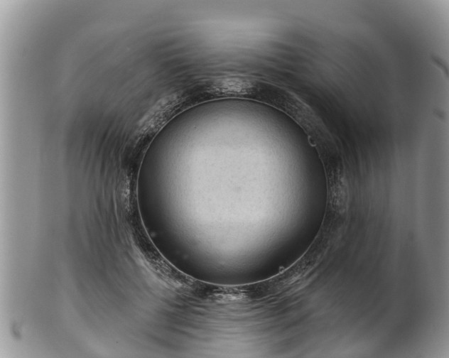 X0000102280552200808011453