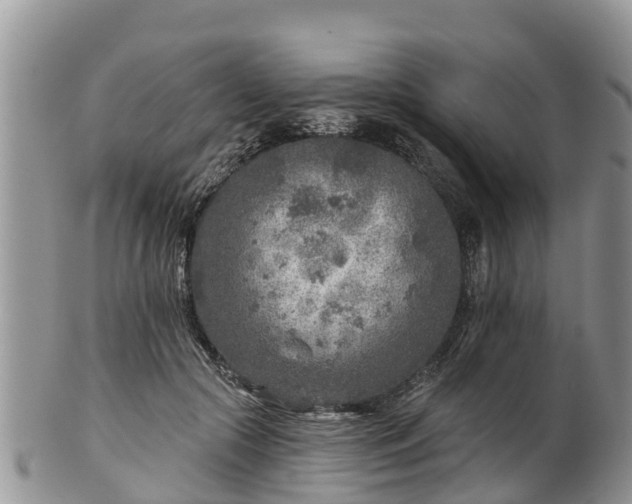 X0000102280553200808011453