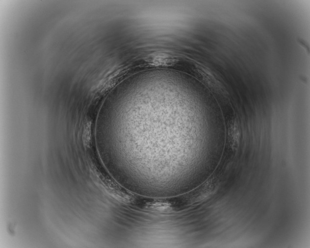 X0000102280554200808011453