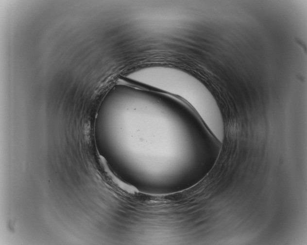 X0000102280556200808011453