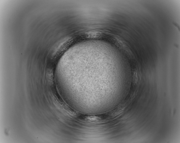 X0000102280557200808011453