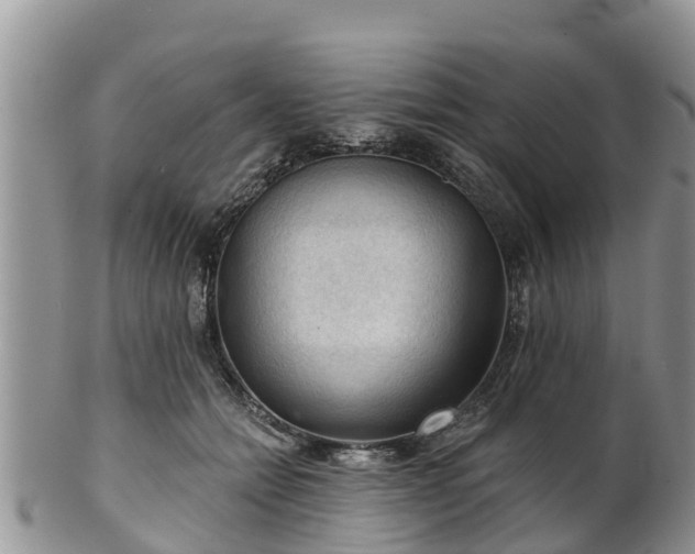 X0000102280558200808011453