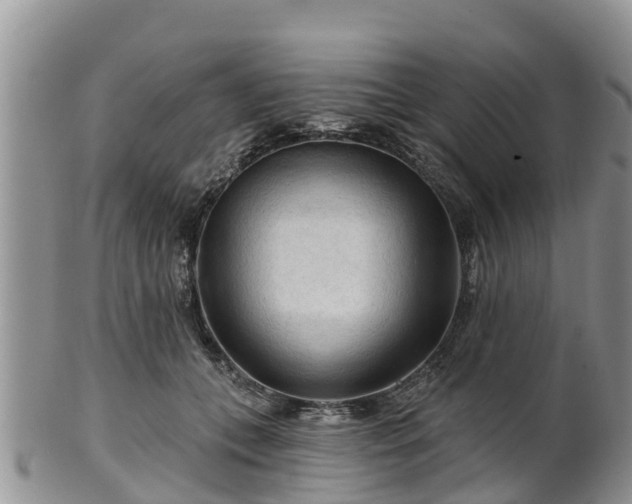 X0000102280559200808011453