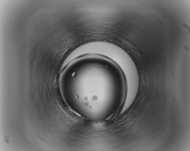 X0000102280560200808011453