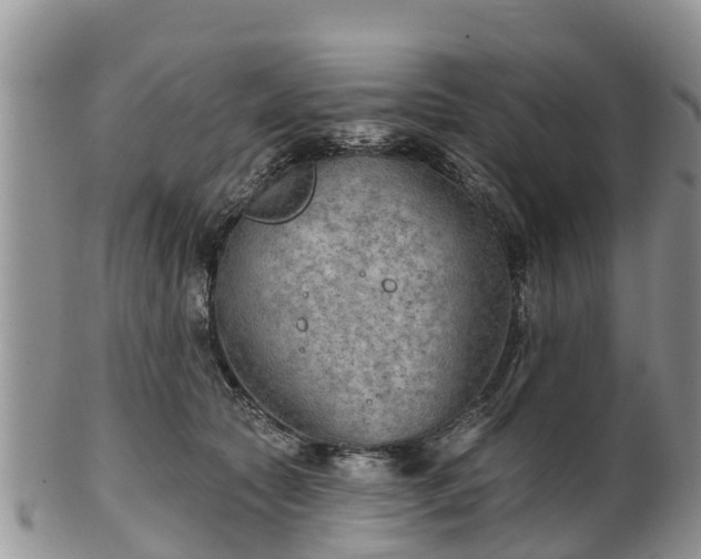 X0000102280561200808011453