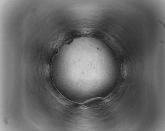 X0000102280563200808011453