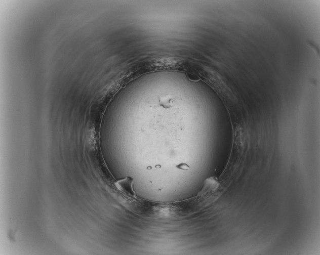 X0000102280564200808011453