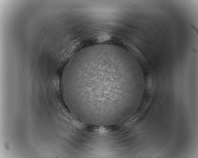 X0000102280565200808011453