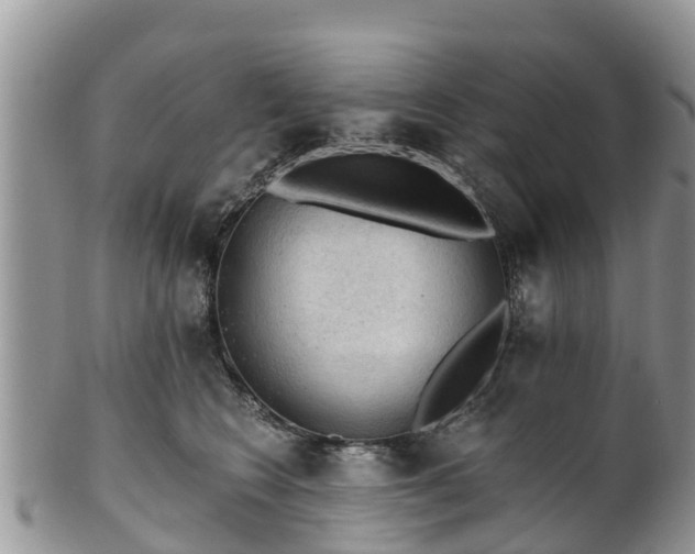 X0000102280566200808011453