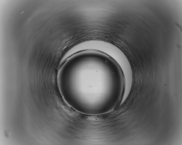 X0000102280568200808011453