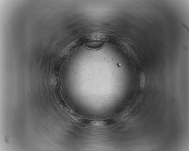 X0000102280569200808011453