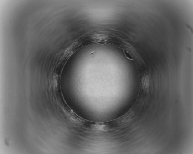 X0000102280570200808011453