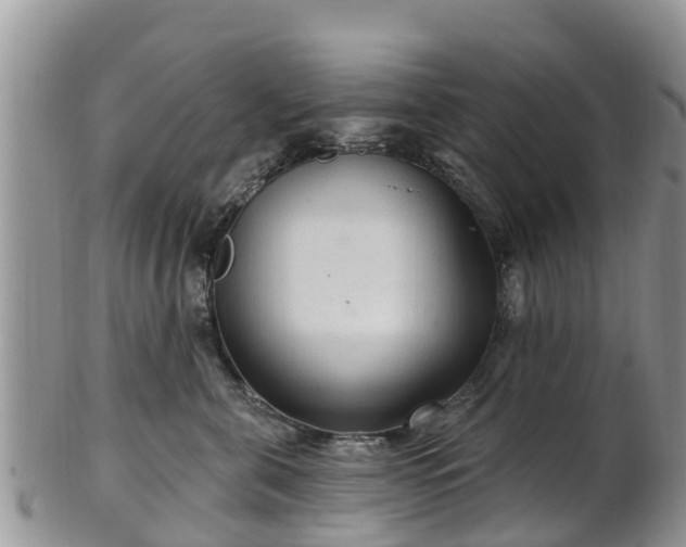 X0000102280571200808011453