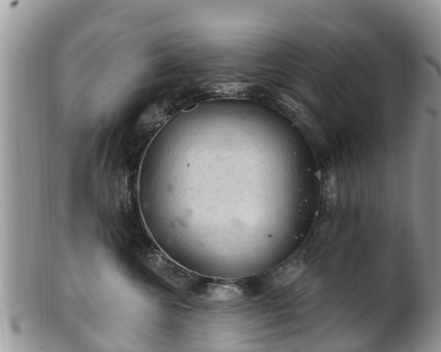 X0000102280572200808011453