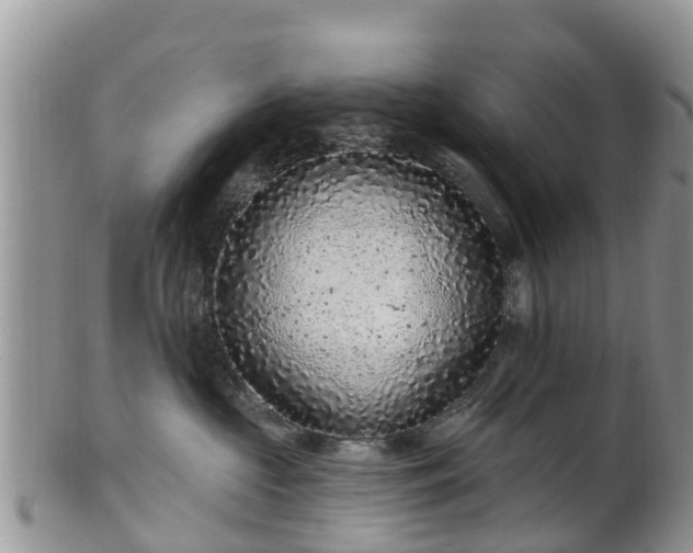 X0000102280573200808011453