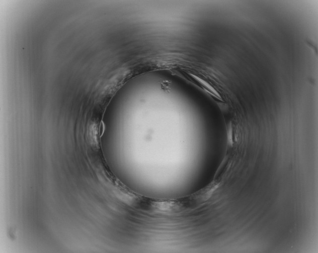 X0000102280575200808011453