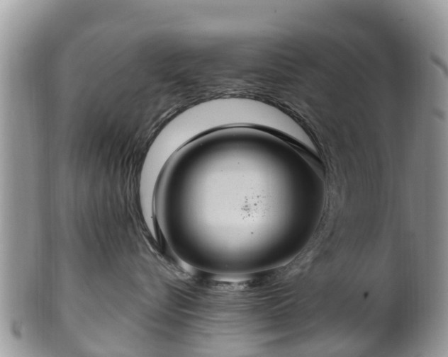 X0000102280576200808011453