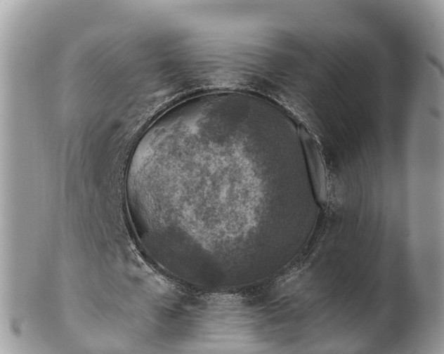 X0000102280577200808011452