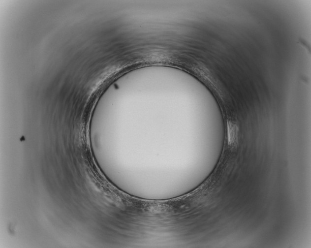 X0000102280579200808011452