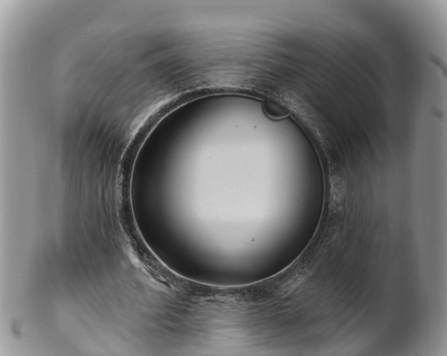 X0000102280580200808011452