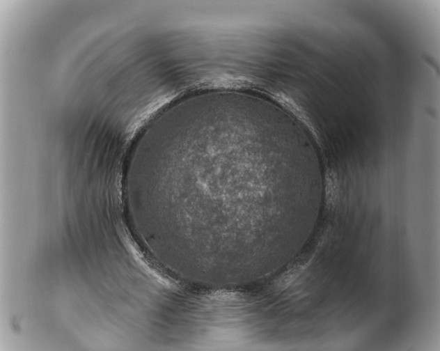 X0000102280581200808011452