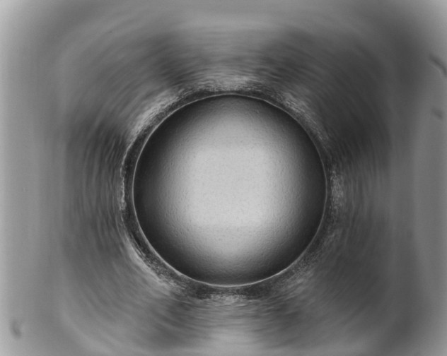 X0000102280582200808011452